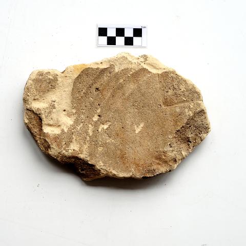 Sen título (DX0877/4)