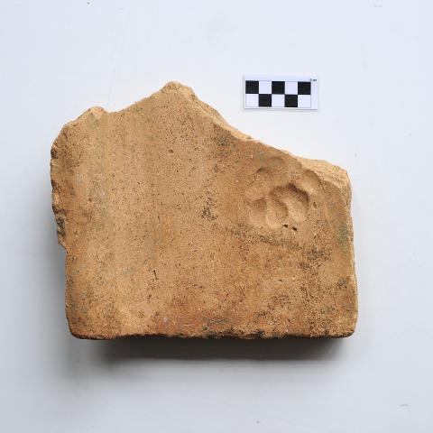 Sen título (DX0877/6)