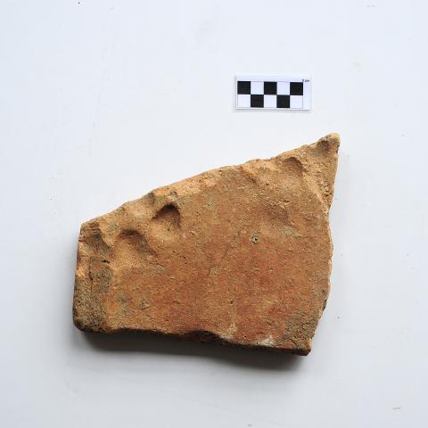 Sen título (DX0877/7)
