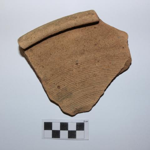 Sen título (DX0898/48)