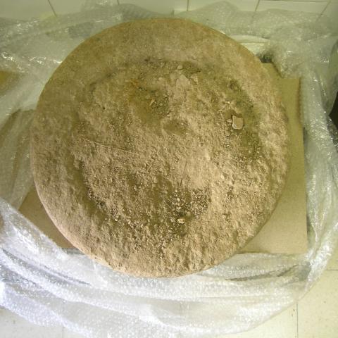 Sen título (DX1028/21)