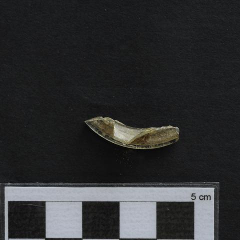 Sen título (DX1207/188)