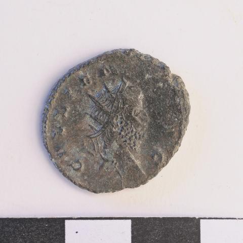 Sen título (DX0008/113)