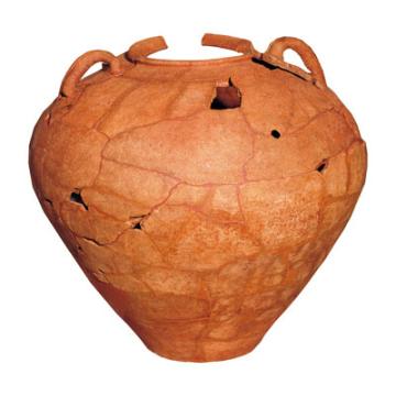 Dolium
