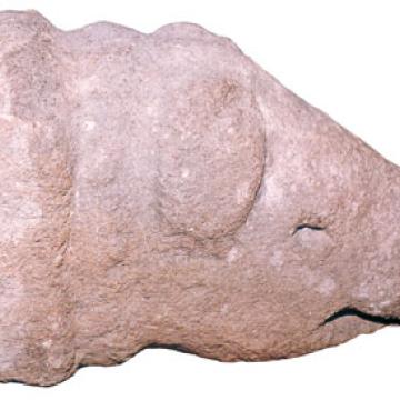 Cabeza dun verrón. Bembibre