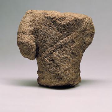 Torso masculino