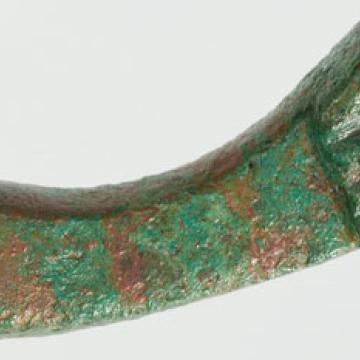 Figa romana de Santomé