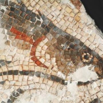Mosaico de A Cigarrosa. Historia dun achado