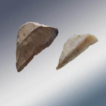 Micrólitos