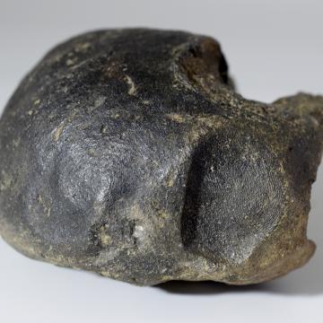 Pela de barro de Laias