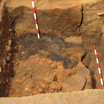 Excavación do Museo