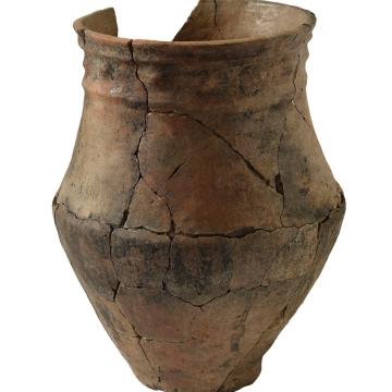 Urna de Cameixa