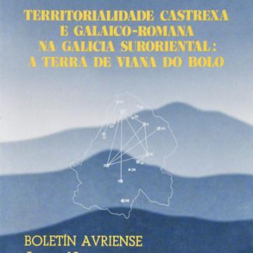 Territorialidade castrexa e galaico-romana na Galicia suroriental: A Terra de Viana do Bolo